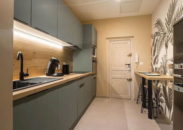 Magnifique Terrasse Et Parking Prive Place Dupuy 圖盧茲