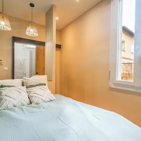 Magnifique Terrasse Et Parking Prive Place Dupuy アパート